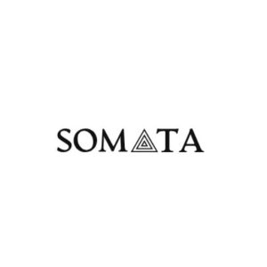 Logotipo Instituto Somata - Melhor escola de psicanálise do Brasil